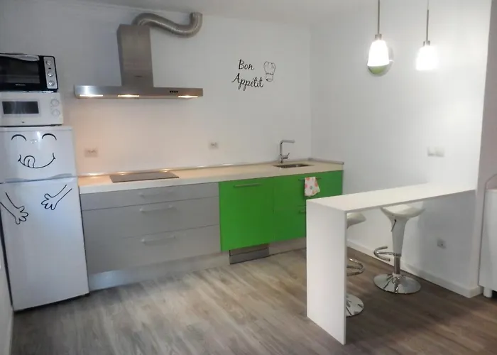 Centrico 1h Zumaia Daire *